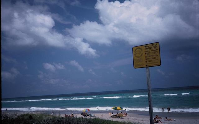 Beachgoers on the sand at Hobe Sound National Wildlife Refuge beside a sea turtle nesting sign