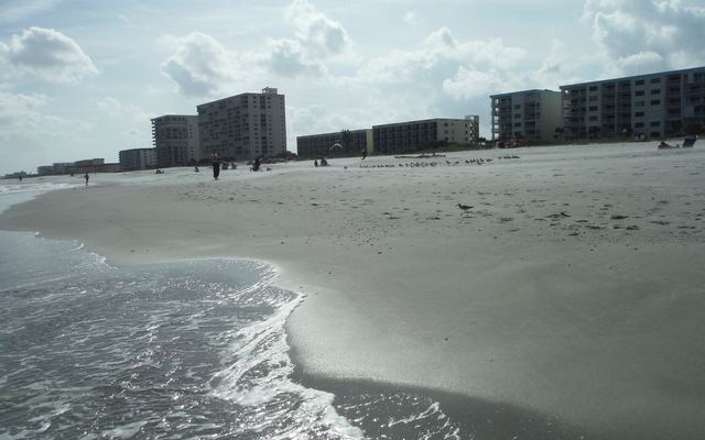 A shallow wave washing over wet sand on Cocoa Beach, with a flock of shorebirds on the beach and a row of mid-rise and high-rise buildings lining the shore under a cloudy sky