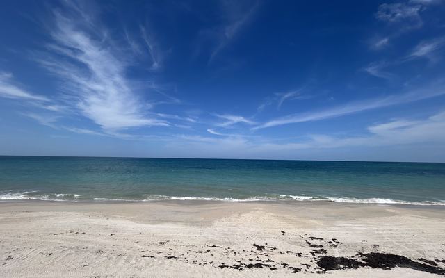 Pale sand and small, clear blue-green waves at Wabasso Beach under a deep blue sky with thin streaks of cloud, with dark clumps of seaweed on the sand in the foreground