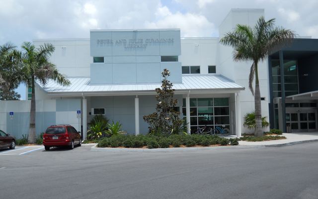 Front of the Peter and Julie Cummings Library in Palm City, a white public library building with a light blue name panel, a metal-roofed entry, palm trees and landscaped beds beside the parking lot